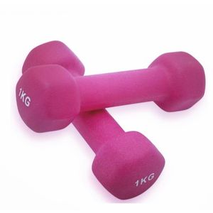 Kit 2 Halteres em Ferro Fundido Revestido com Neoprene Pelegrin PEL-01DB 1kg - Rosa