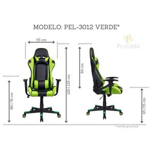 Cadeira Gamer Pelegrin em Couro PU Reclinável PEL-3012 Preta e Verde