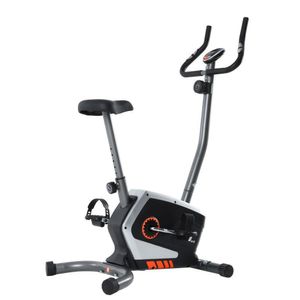 Bicicleta Ergométrica Magnética Vertical Gallant Elite (Gbe02hmgb-Cz)