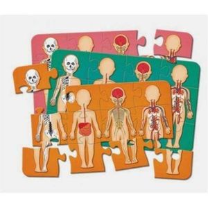 Jogo Corpo Humano - Pais E Filhos