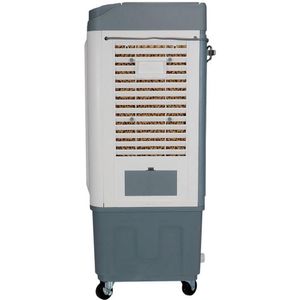 Climatizador Ar Ventisol Clir60 Pro 60l Branco/cinza 110 V