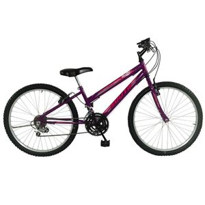 Bicicleta South Bike Love Girl 18 Marchas Aro 24 Feminina Violeta