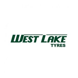 Kit Com 2 Pneus Aro 17 Westlake 265/65r17 Su318 112t