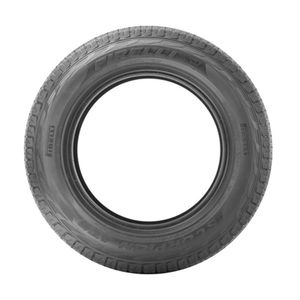 Pneu Aro 17 Pirelli Scorpion Atr 225/65r17 102h