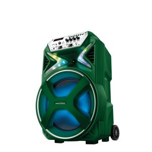 Caixa Amplificada Palmeiras CMPA-01