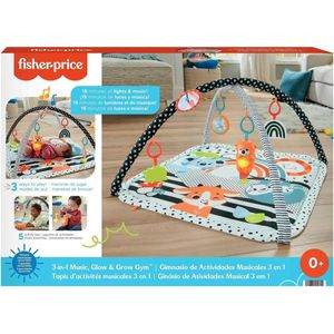 Tapete De Atividades Infantil Com Ginásio 3 em 1 - Fisher Price HBP41