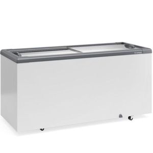 Freezer Plano Vidro Reto Deslizante Ghd500 Gelopar Expositor 500 Litros Cinza 110v