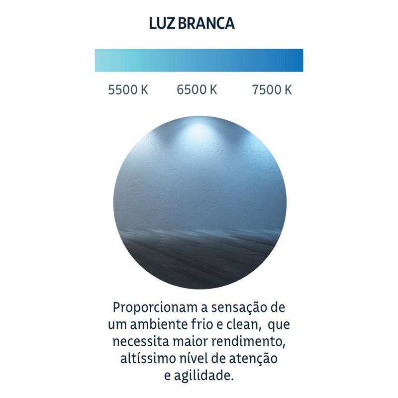 17286302758294