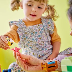LEGO DUPLO - Caixa de tijolos para carros e caminhões