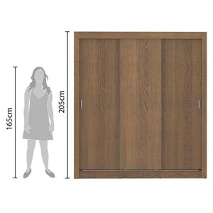 Guarda Roupa Casal Lyon 3 Portas de Correr Rustic Madesa