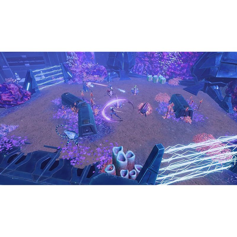 17320489206614