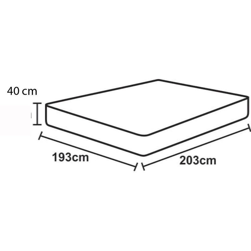 17324529066981