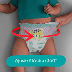 247339-800-auto