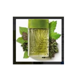 Perfume Arbo Forest 100ml