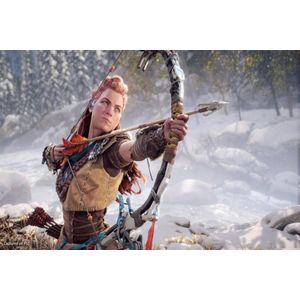 Horizon Forbidden West - PS5
