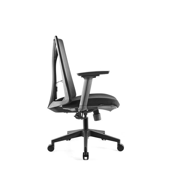 AnyConv.com__Olympia_Preta_V2-3