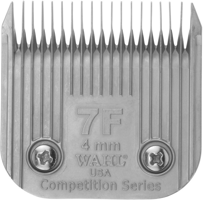 17243381102027