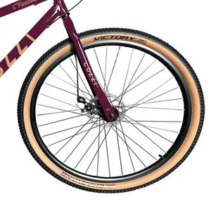 Bic. Colli Vancouver A.29 F.disco 21v - 131-0148d Roxo Perolizado