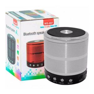 Caixa De Som Portátil Mini Bluetooth Mp3 Fm Sd Usb Bivolt Ws 887