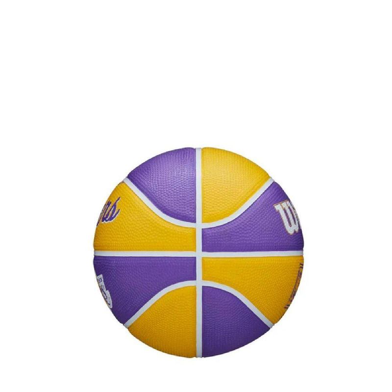 17343817205109