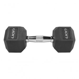Par De Halteres Lion Performance Sextavado 7kg Aço Cromado