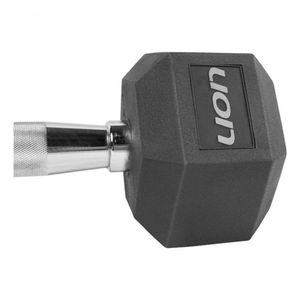 Par De Halteres Lion Performance Sextavado 10kg Aço Cromado