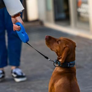 Coleira Retrátil Para Cachorro - Azul