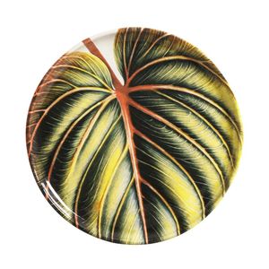 Conjunto com 6 Pratos De Sobremesa Bio Éden