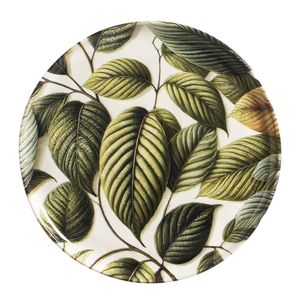 Conjunto com 6 Pratos Raso Bio Éden