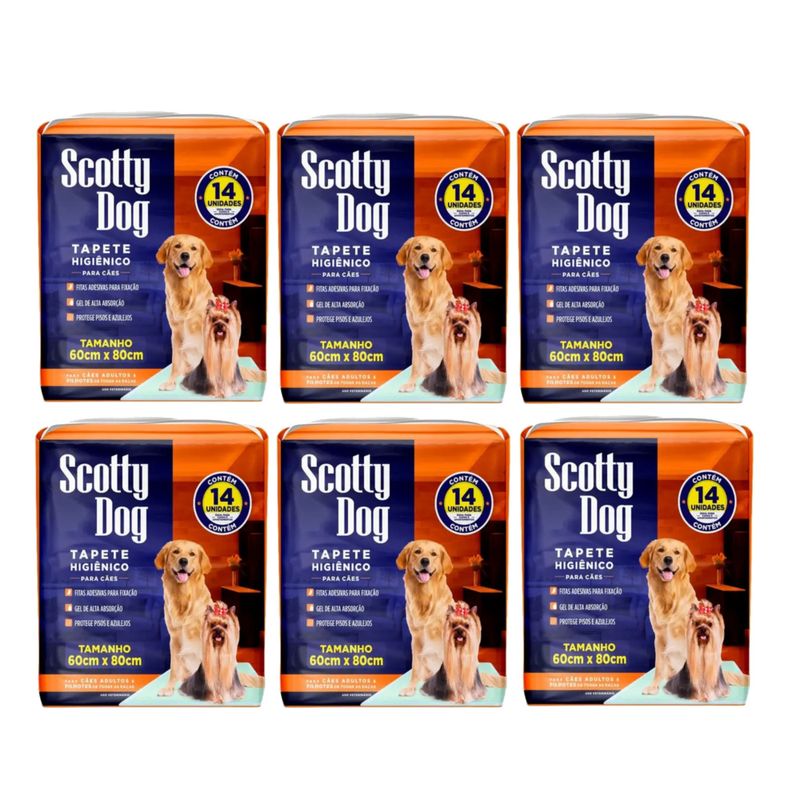 KIT4347057_1
