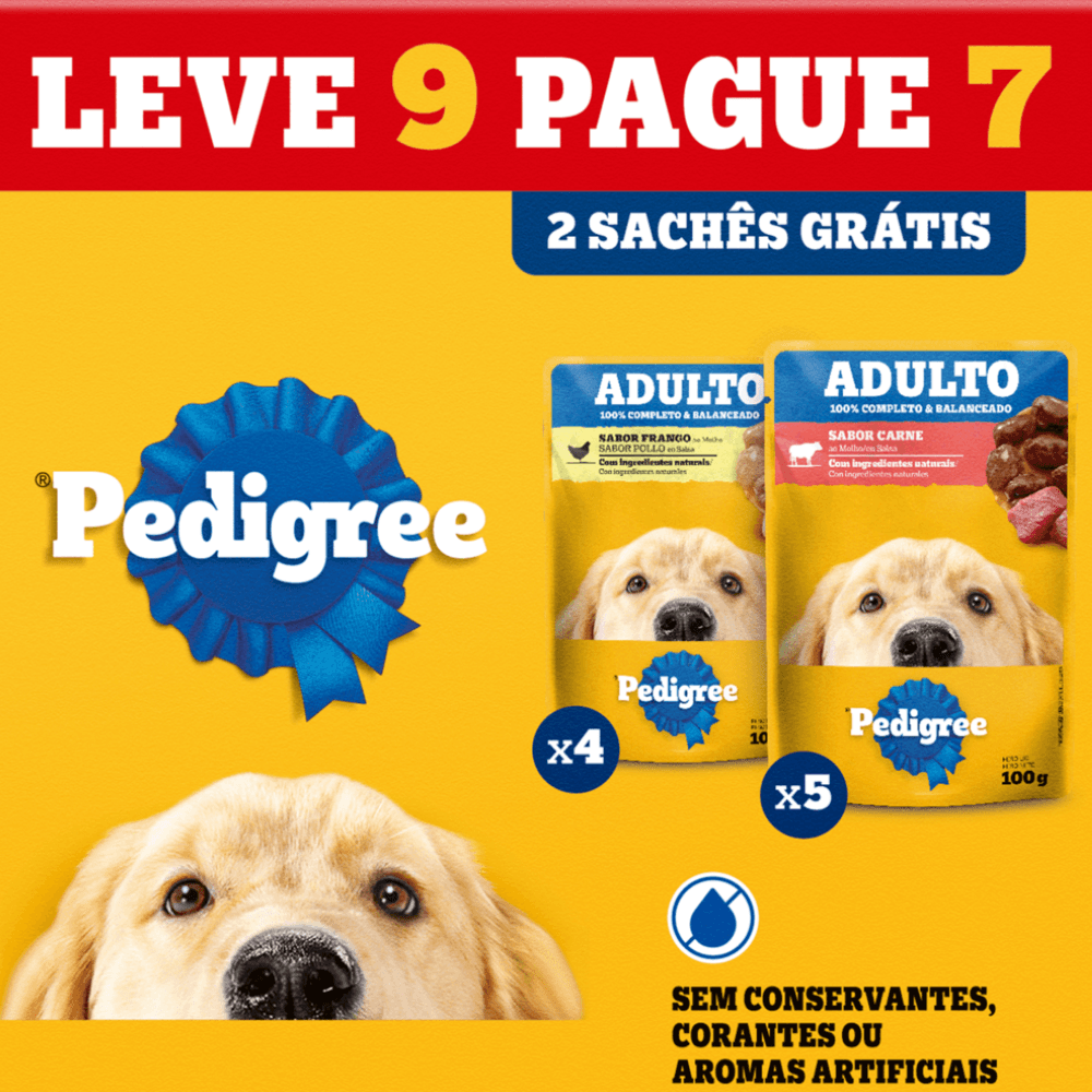 Ração Úmida Pedigree Sachê Cães Adultos Carne e Frango