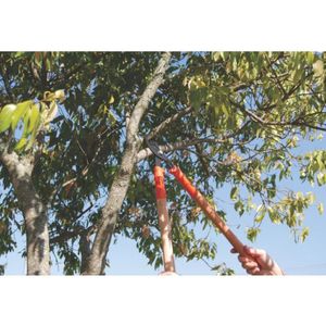 Tesoura de Poda Tramontina Profissional, com Cabo, 43 cm
