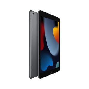 Apple iPad (9ª geração) A13 Bionic (10,2", Wi-Fi + Cellular, 256GB) - Cinza-espacial