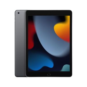 Apple iPad (9ª geração) A13 Bionic (10,2", Wi-Fi + Cellular, 256GB) - Cinza-espacial