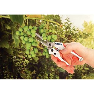Tesoura de Poda para Raleio Tramontina Profissional, 78316/520